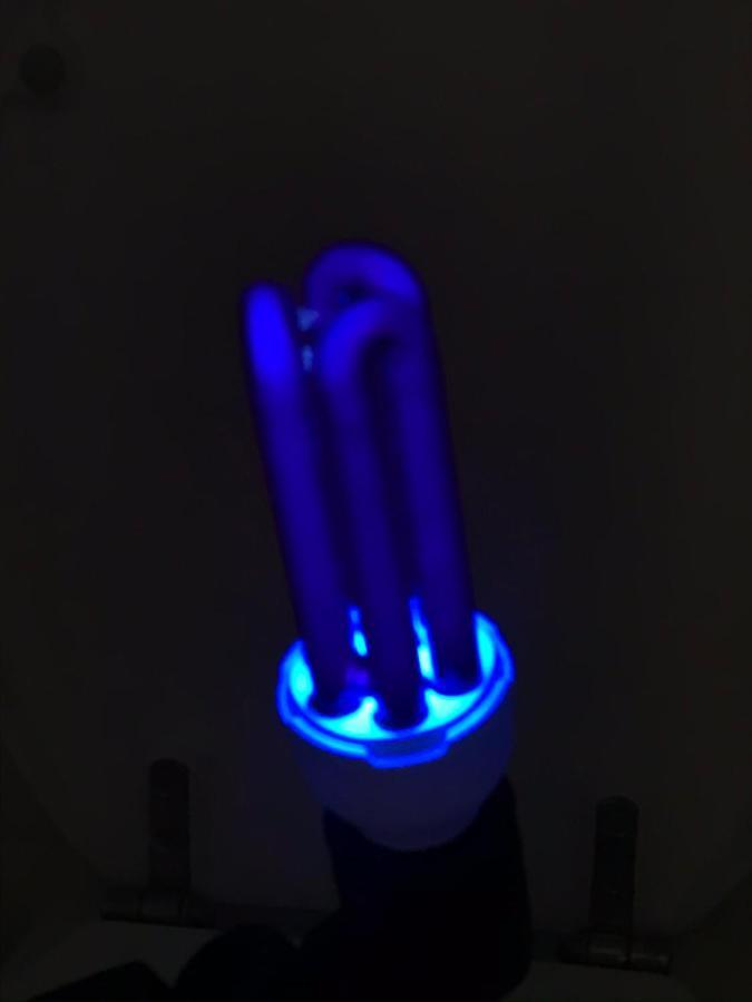 ביאליסטוק Apartament Flora Deluxe Naswietlanie Uv מראה חיצוני תמונה
